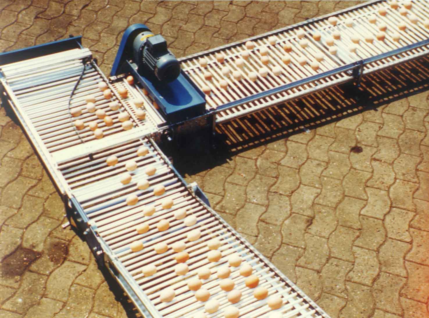 New and launched with great attention: The first LUBING cross conveyor for egg transport in laying houses.