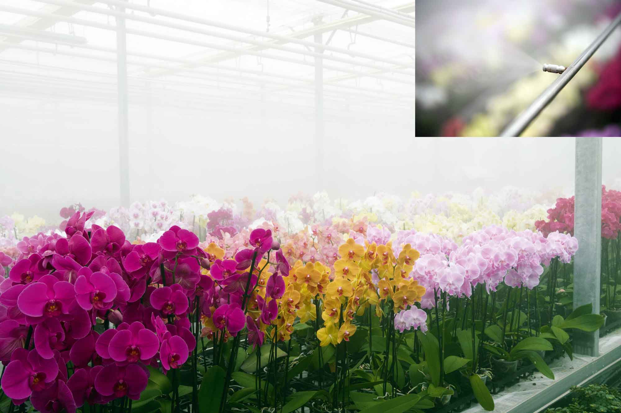 Ideal for animals and plants: the Top-Climate-System is also making its triumphant entry into greenhouses.